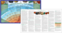 Anti-Inflammation Guide